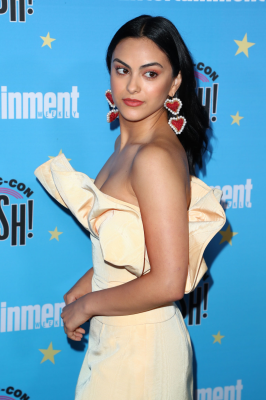 camilamendes-daily_281229.png